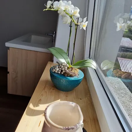 Semesterbostad Zum Holzmichel Thale