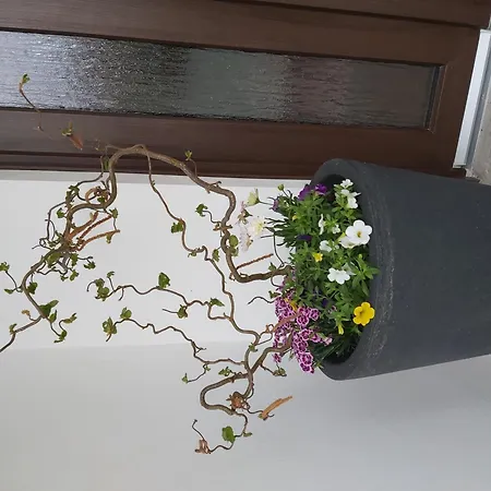 Zum Holzmichel Semesterbostad Thale