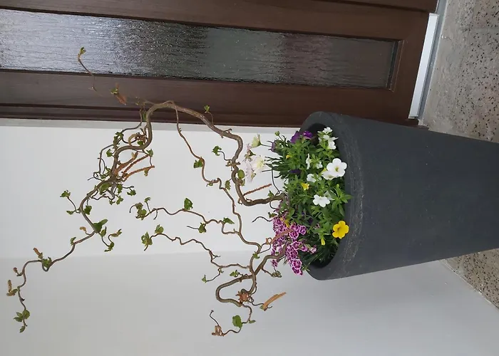 Zum Holzmichel Semesterbostad Thale